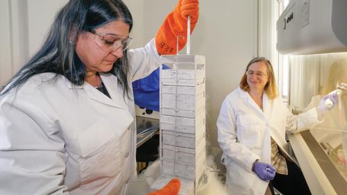 Two people in lab coats 和 gloves working on a machine in a research laboratory